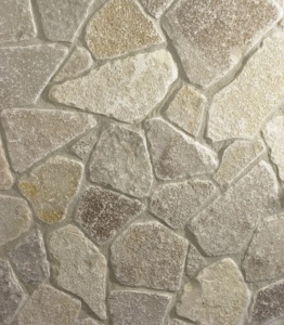 4216_Building Veneer_Eden Webstone Tumbled