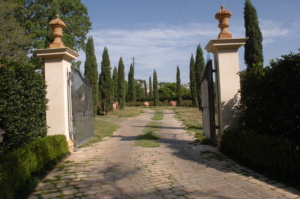 5359_Valders Tumbled Pavers